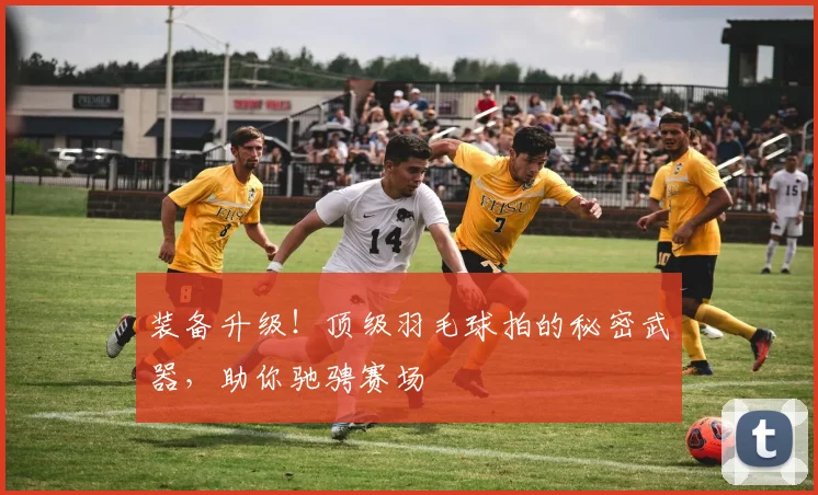 装备升级！顶级羽毛球拍的秘密武器，助你驰骋赛场