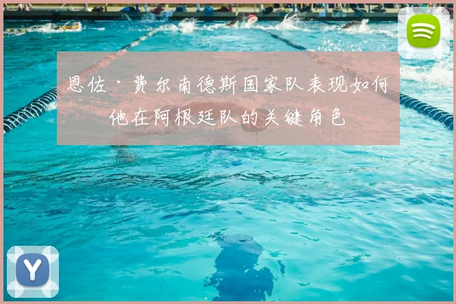 恩佐·费尔南德斯国家队表现如何?他在阿根廷队的关键角色