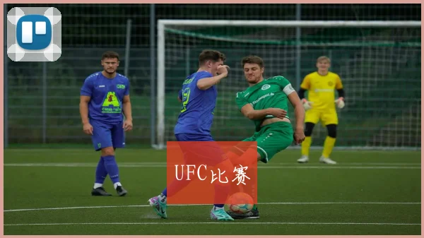 UFC比赛