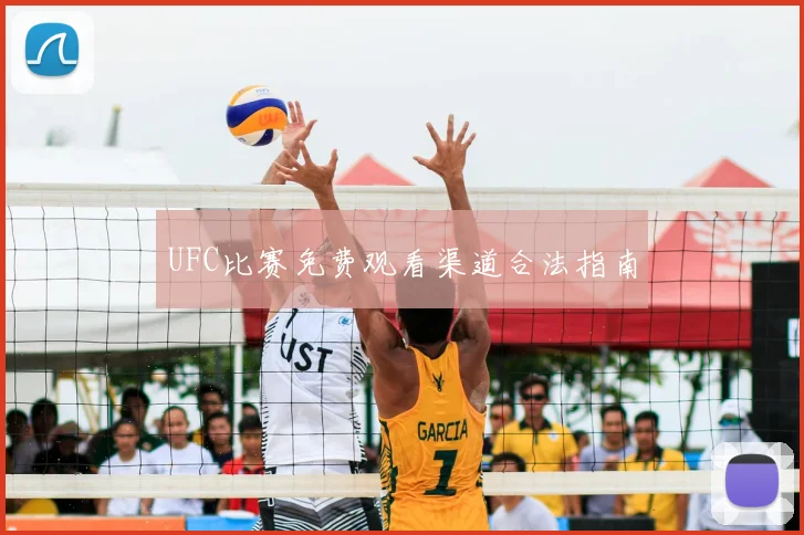 UFC比赛免费观看渠道合法指南