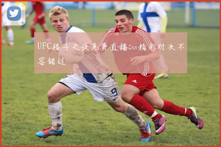 UFC格斗之夜免费直播：精彩对决不容错过